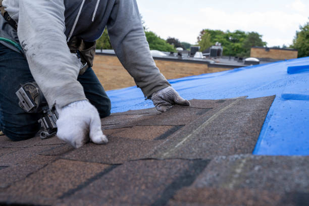 Best Roof Maintenance Services  in San Andreas, CA